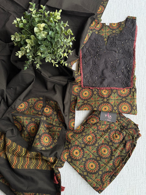 Kalamkari printed cotton suit set