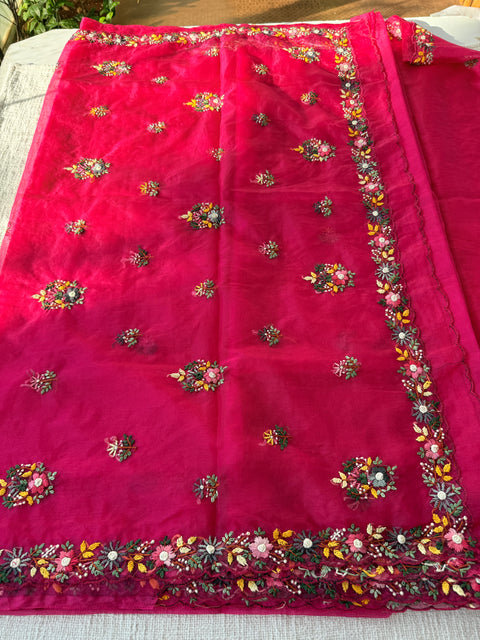 Hand Emb Organza saree